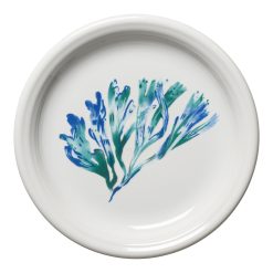 Fiesta Colorful Dinnerware - New Retired Coastal Bistro Coupe 7 1/4 Inch Salad Plate